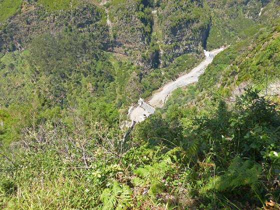 03.08.2013 Aguas dos Tornos — Aufstieg zur Levada do Barreiro — Foto 5