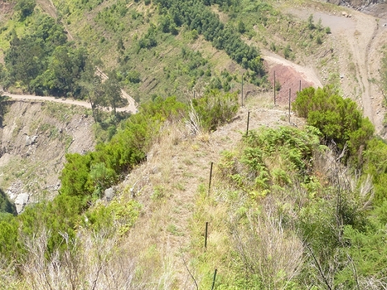 03.08.2013 Aguas dos Tornos — Aufstieg zur Levada do Barreiro — Foto 6
