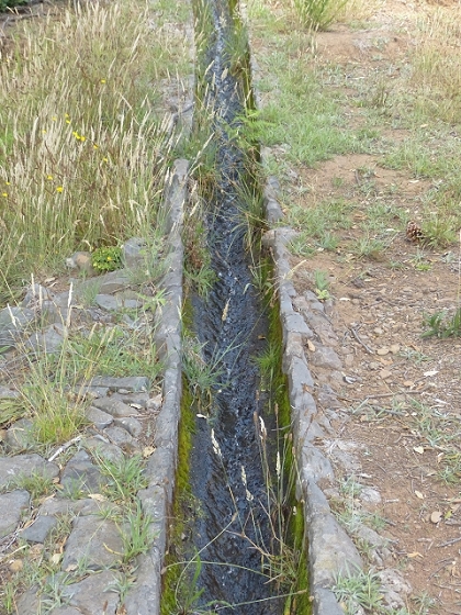 03.08.2013 Aguas dos Tornos — Aufstieg zur Levada do Barreiro — Foto 15