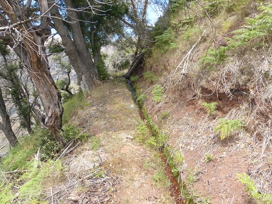 03.08.2013 Aguas dos Tornos — Aufstieg zur Levada do Barreiro — Foto 17