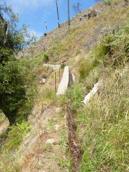 03.08.2013 Aguas dos Tornos — Aufstieg zur Levada do Barreiro — Foto 18