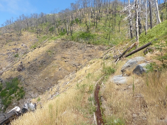 03.08.2013 Aguas dos Tornos — Aufstieg zur Levada do Barreiro — Foto 21
