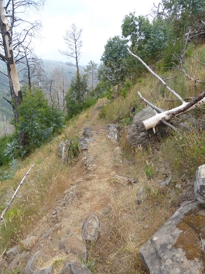 03.08.2013 Aguas dos Tornos — Auf der Levada das Cales nach Monte — Foto 3