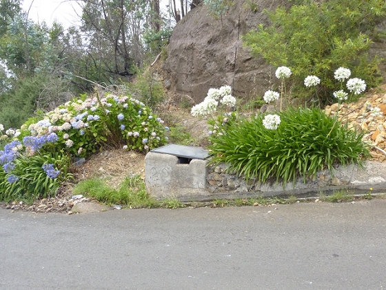 03.08.2013 Aguas dos Tornos — Auf der Levada das Cales nach Monte — Foto 7