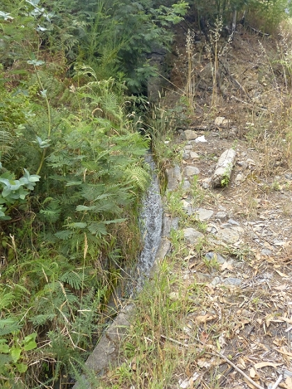 03.08.2013 Aguas dos Tornos — Auf der Levada das Cales nach Monte — Foto 9