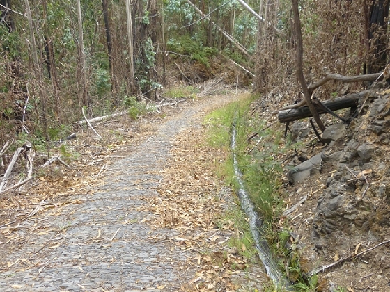 03.08.2013 Aguas dos Tornos — Auf der Levada das Cales nach Monte — Foto 10
