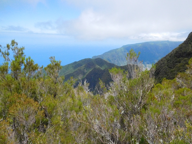 03.08.2015 Levada do Norte und Plaino Velho, Aufstieg zur Paul da Serra — Aufstieg zur Paul da Serra — Foto 27