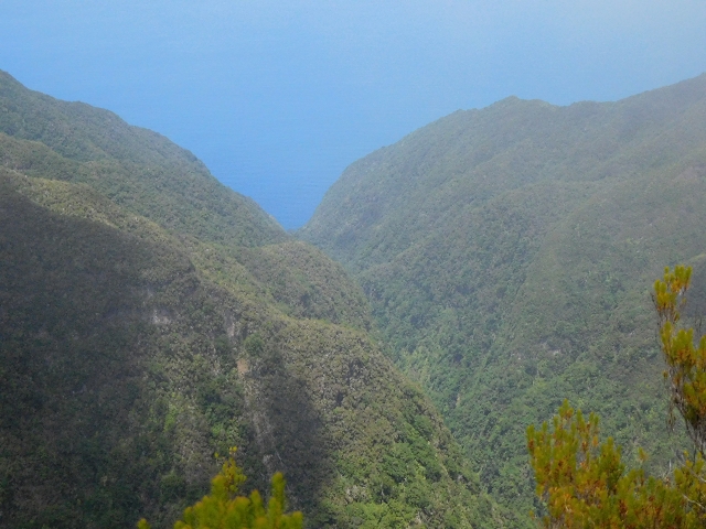 03.08.2015 Levada do Norte und Plaino Velho, Aufstieg zur Paul da Serra — Aufstieg zur Paul da Serra — Foto 28