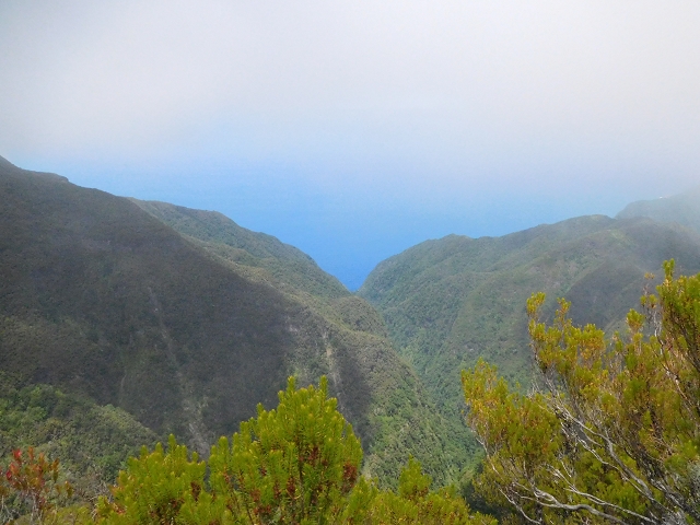 03.08.2015 Levada do Norte und Plaino Velho, Aufstieg zur Paul da Serra — Aufstieg zur Paul da Serra — Foto 29