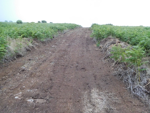 03.08.2015 Levada do Norte und Plaino Velho, Aufstieg zur Paul da Serra — Pico Ruivo do Paul — Foto 1