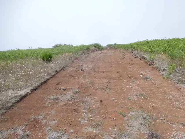 03.08.2015 Levada do Norte und Plaino Velho, Aufstieg zur Paul da Serra — Pico Ruivo do Paul — Foto 2