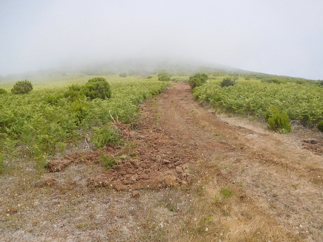 03.08.2015 Levada do Norte und Plaino Velho, Aufstieg zur Paul da Serra — Pico Ruivo do Paul — Foto 3