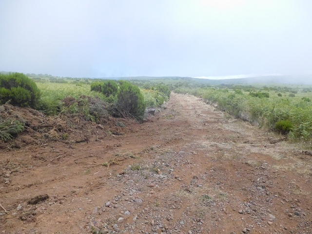 03.08.2015 Levada do Norte und Plaino Velho, Aufstieg zur Paul da Serra — Pico Ruivo do Paul — Foto 5