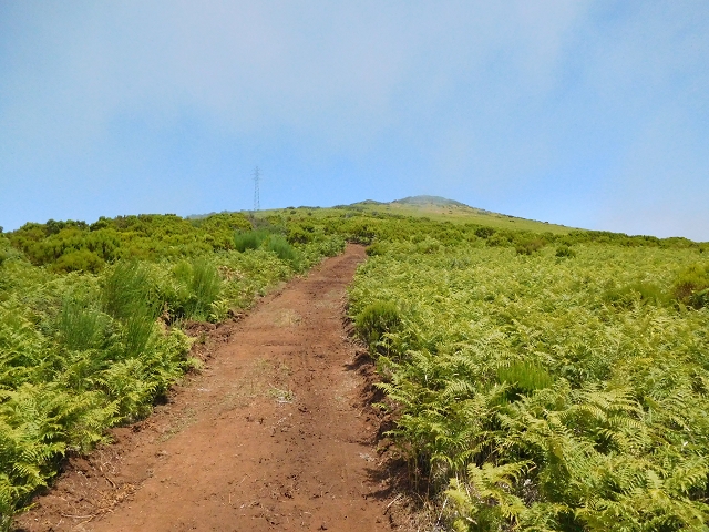 03.08.2015 Levada do Norte und Plaino Velho, Aufstieg zur Paul da Serra — Pico Ruivo do Paul — Foto 6
