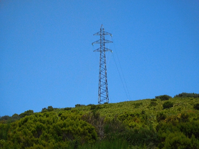 03.08.2015 Levada do Norte und Plaino Velho, Aufstieg zur Paul da Serra — Pico Ruivo do Paul — Foto 7