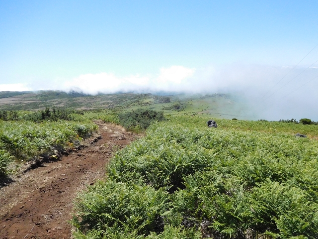 03.08.2015 Levada do Norte und Plaino Velho, Aufstieg zur Paul da Serra — Pico Ruivo do Paul — Foto 11