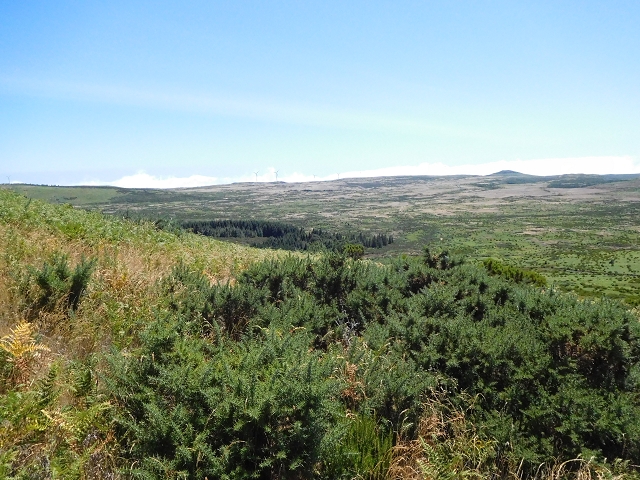 03.08.2015 Levada do Norte und Plaino Velho, Aufstieg zur Paul da Serra — Pico Ruivo do Paul — Foto 12