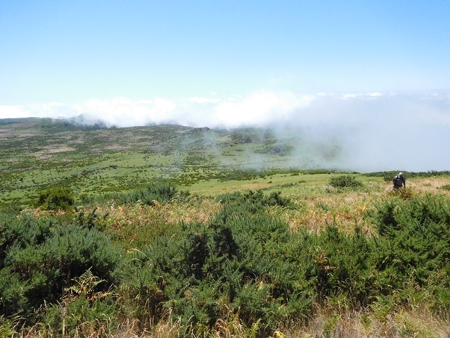 03.08.2015 Levada do Norte und Plaino Velho, Aufstieg zur Paul da Serra — Pico Ruivo do Paul — Foto 13