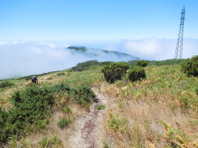 03.08.2015 Levada do Norte und Plaino Velho, Aufstieg zur Paul da Serra — Pico Ruivo do Paul — Foto 14