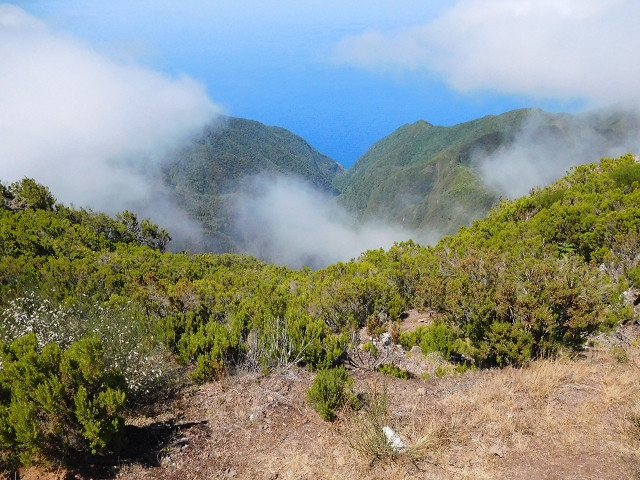 03.08.2015 Levada do Norte und Plaino Velho, Aufstieg zur Paul da Serra — Pico Ruivo do Paul — Foto 16