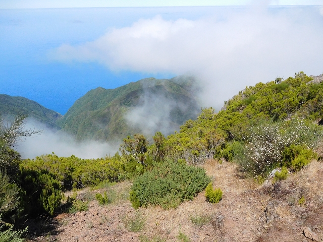 03.08.2015 Levada do Norte und Plaino Velho, Aufstieg zur Paul da Serra — Pico Ruivo do Paul — Foto 17