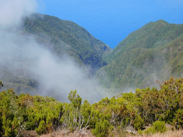 03.08.2015 Levada do Norte und Plaino Velho, Aufstieg zur Paul da Serra — Pico Ruivo do Paul — Foto 18