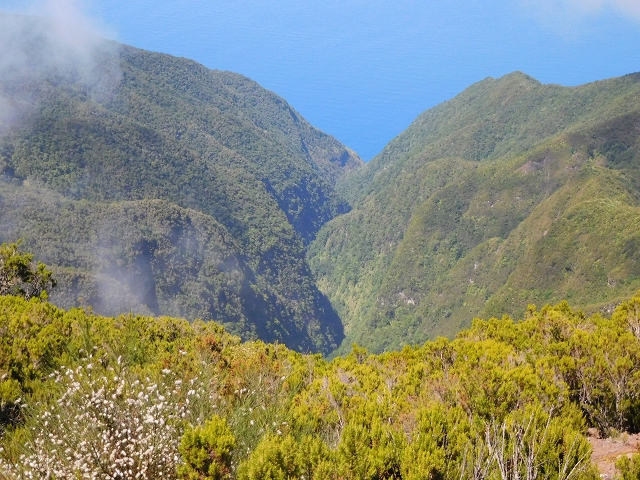 03.08.2015 Levada do Norte und Plaino Velho, Aufstieg zur Paul da Serra — Pico Ruivo do Paul — Foto 19