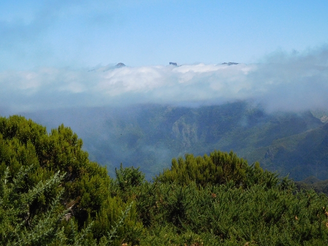 03.08.2015 Levada do Norte und Plaino Velho, Aufstieg zur Paul da Serra — Pico Ruivo do Paul — Foto 20