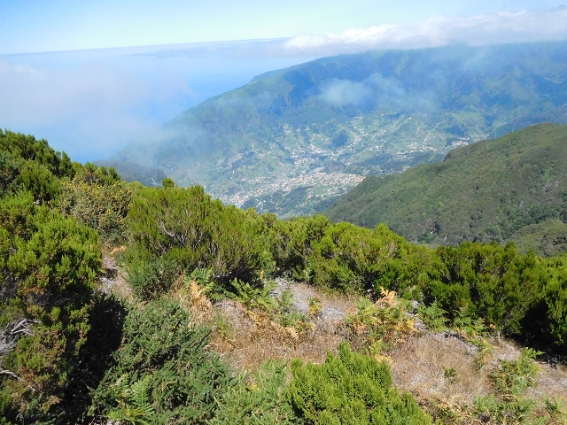 03.08.2015 Levada do Norte und Plaino Velho, Aufstieg zur Paul da Serra — Pico Ruivo do Paul — Foto 21