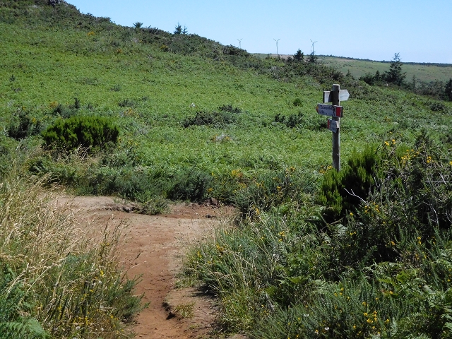 03.08.2015 Levada do Norte und Plaino Velho, Aufstieg zur Paul da Serra — Pico Ruivo do Paul — Foto 22