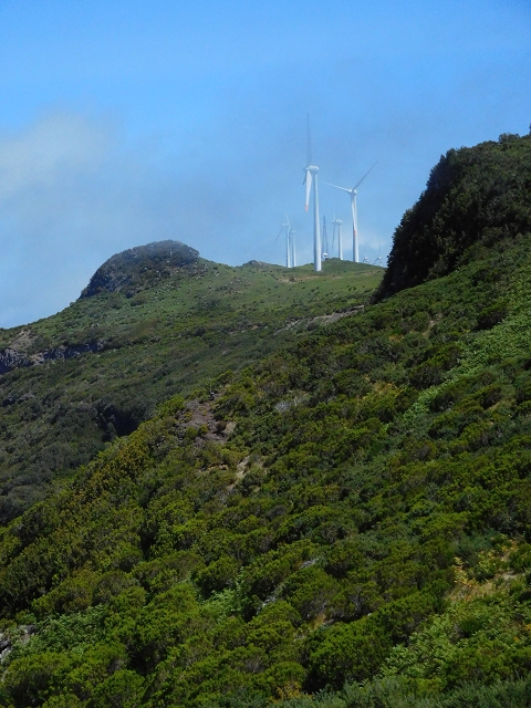 03.08.2015 Levada do Norte und Plaino Velho, Aufstieg zur Paul da Serra — Abstieg zur Levada do Plaino Velho — Foto 2