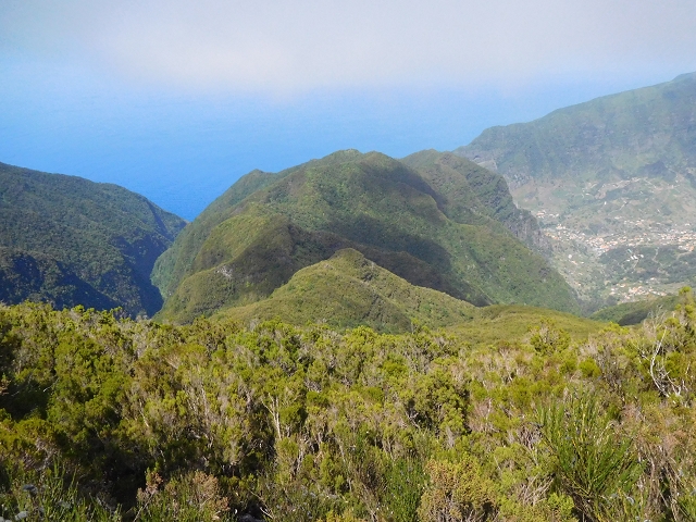03.08.2015 Levada do Norte und Plaino Velho, Aufstieg zur Paul da Serra — Abstieg zur Levada do Plaino Velho — Foto 6