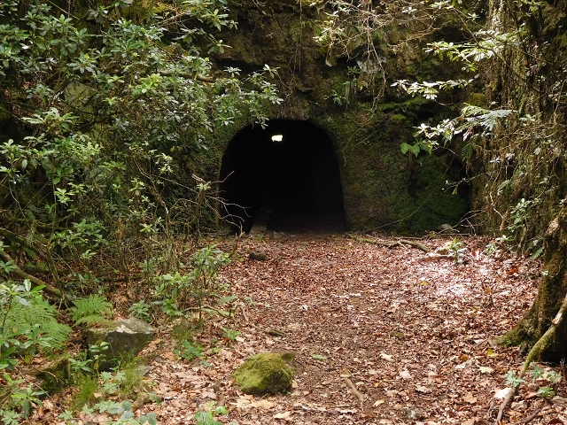 03.08.2015 Levada do Norte und Plaino Velho, Aufstieg zur Paul da Serra — Abstieg zur Levada do Plaino Velho — Foto 10