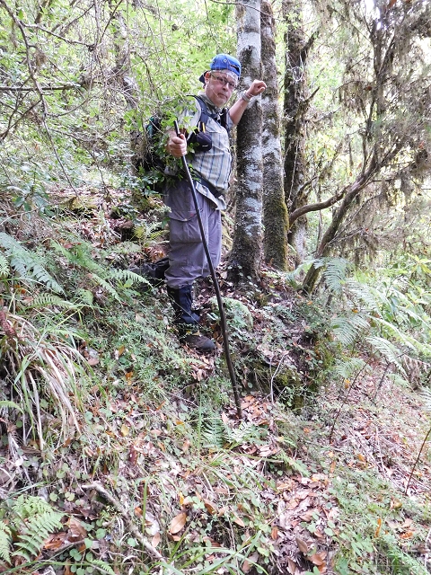 03.08.2015 Levada do Norte und Plaino Velho, Aufstieg zur Paul da Serra — Abstieg zur Levada do Norte — Foto 4