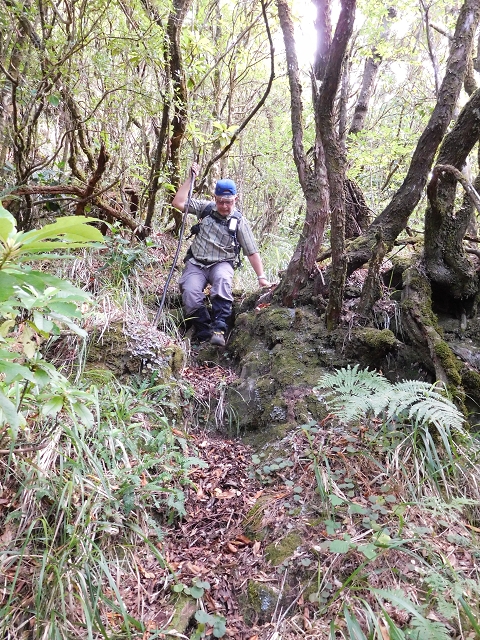 03.08.2015 Levada do Norte und Plaino Velho, Aufstieg zur Paul da Serra — Abstieg zur Levada do Norte — Foto 7