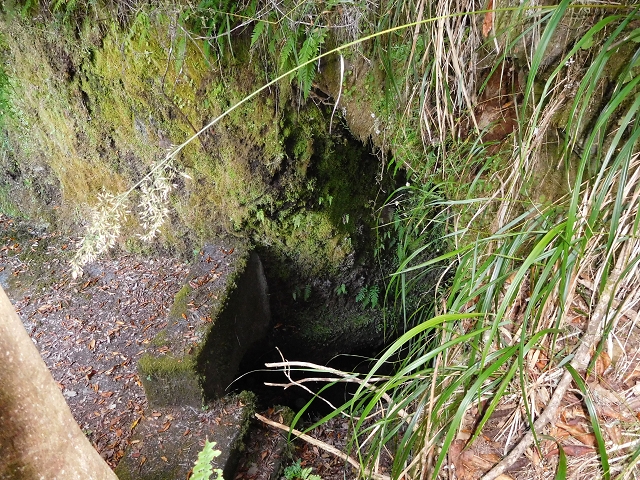 03.08.2015 Levada do Norte und Plaino Velho, Aufstieg zur Paul da Serra — Abstieg zur Levada do Norte — Foto 9
