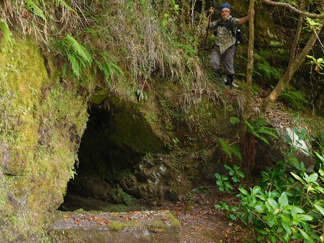 03.08.2015 Levada do Norte und Plaino Velho, Aufstieg zur Paul da Serra — Abstieg zur Levada do Norte — Foto 10