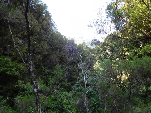 03.08.2015 Levada do Norte und Plaino Velho, Aufstieg zur Paul da Serra — Zurück auf der Levada do Norte zur Schotterpiste — Foto 2