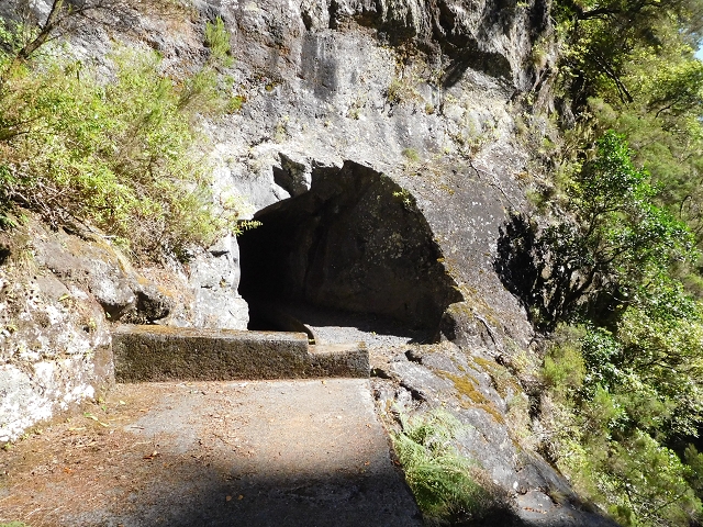 03.08.2015 Levada do Norte und Plaino Velho, Aufstieg zur Paul da Serra — Passage der östlichen Seitenastes der Ribeira do Passo — Foto 7