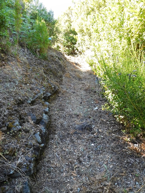 03.08.2015 Levada do Norte und Plaino Velho, Aufstieg zur Paul da Serra — Zurück auf der Levada do Norte zur Schotterpiste — Foto 5