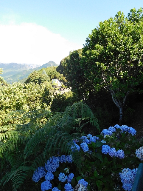 03.08.2015 Levada do Norte und Plaino Velho, Aufstieg zur Paul da Serra — Zurück auf der Levada do Norte zur Schotterpiste — Foto 7