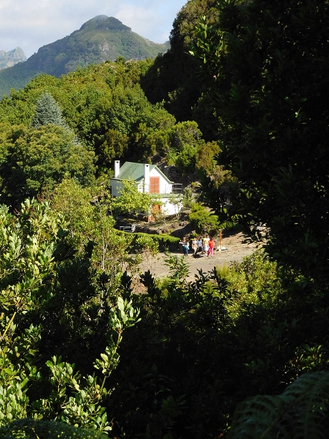 03.08.2015 Levada do Norte und Plaino Velho, Aufstieg zur Paul da Serra — Zurück auf der Levada do Norte zur Schotterpiste — Foto 8