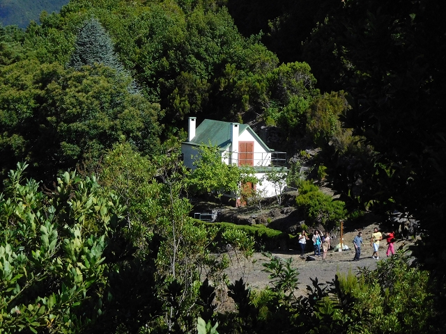 03.08.2015 Levada do Norte und Plaino Velho, Aufstieg zur Paul da Serra — Zurück auf der Levada do Norte zur Schotterpiste — Foto 9