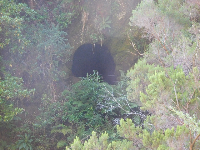 03.08.2015 Levada do Norte und Plaino Velho, Aufstieg zur Paul da Serra — Passage der östlichen Seitenastes der Ribeira do Passo — Foto 8