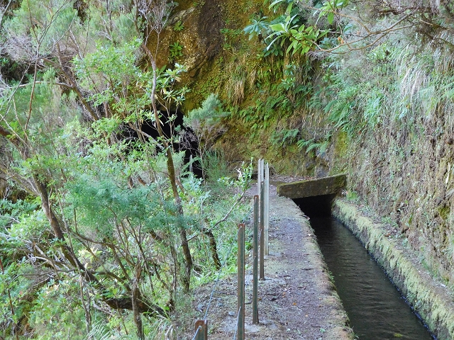 03.08.2015 Levada do Norte und Plaino Velho, Aufstieg zur Paul da Serra — Passage der östlichen Seitenastes der Ribeira do Passo — Foto 9