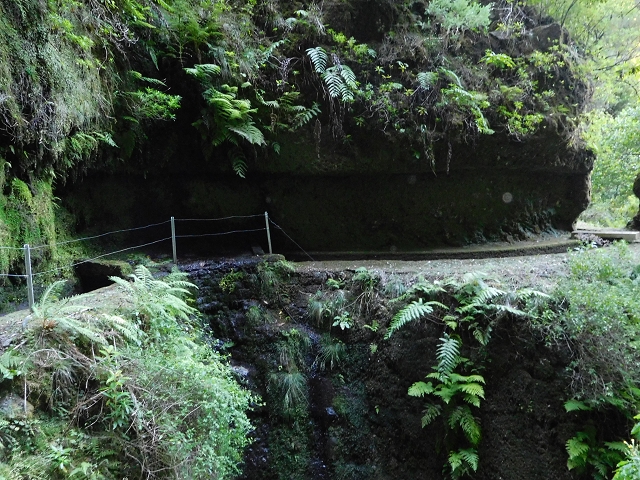 03.08.2015 Levada do Norte und Plaino Velho, Aufstieg zur Paul da Serra — Passage des westlichen Seitenastes der Ribeira do Inferno — Foto 2