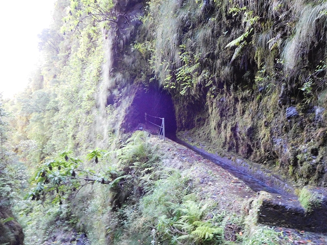 03.08.2015 Levada do Norte und Plaino Velho, Aufstieg zur Paul da Serra — Passage des westlichen Seitenastes der Ribeira do Inferno — Foto 5