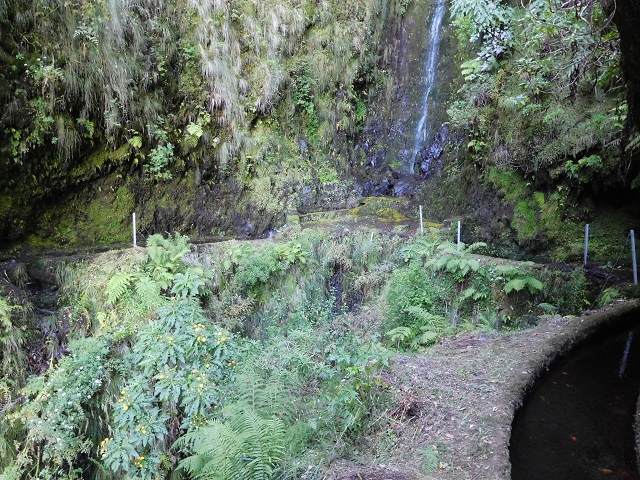 03.08.2015 Levada do Norte und Plaino Velho, Aufstieg zur Paul da Serra — Passage des westlichen Seitenastes der Ribeira do Inferno — Foto 8