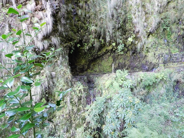03.08.2015 Levada do Norte und Plaino Velho, Aufstieg zur Paul da Serra — Passage des westlichen Seitenastes der Ribeira do Inferno — Foto 9