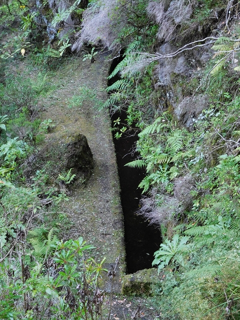 03.08.2015 Levada do Norte und Plaino Velho, Aufstieg zur Paul da Serra — Passage des westlichen Seitenastes der Ribeira do Inferno — Foto 11